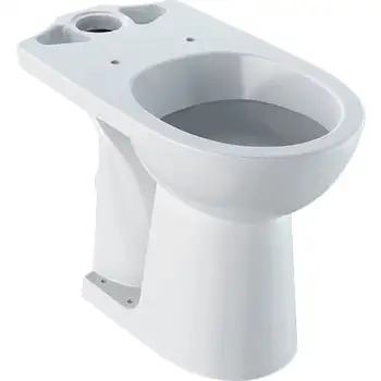 Geberit CER Selnova Comfort - podna WC školjka za nazidni vodokotlić monoblok-0